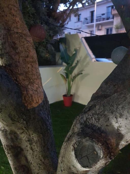 Superbe Appartement Avec Jacuzzi Et Exterieur Perpignan Bagian luar foto